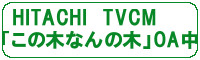 konoki